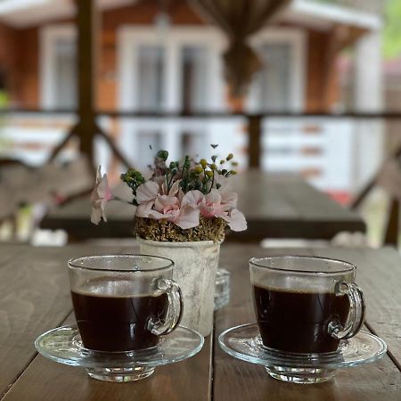 Гостевой Комплекс Парус Hotel New Athos Ngoại thất bức ảnh