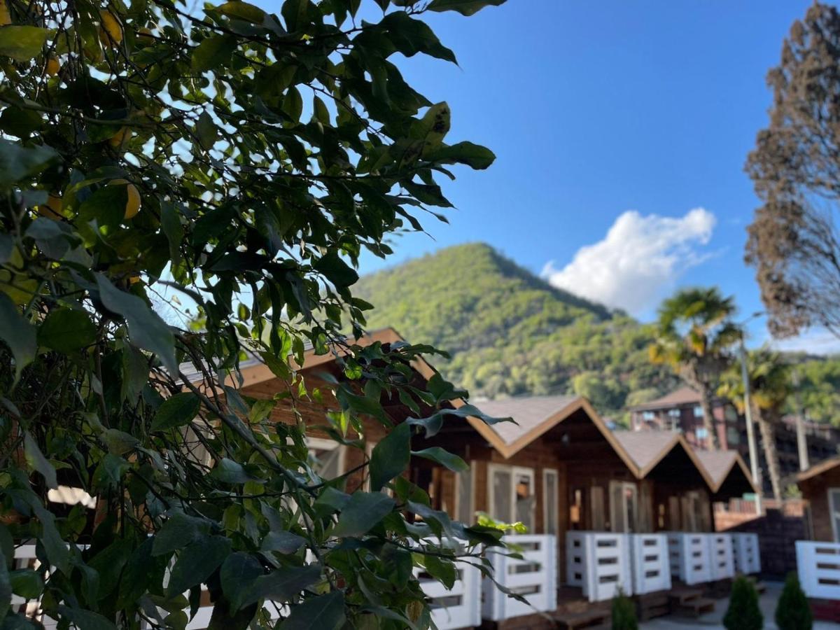 Гостевой Комплекс Парус Hotel New Athos Ngoại thất bức ảnh
