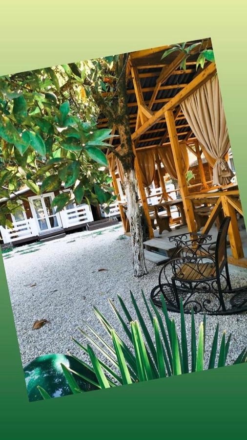 Гостевой Комплекс Парус Hotel New Athos Ngoại thất bức ảnh